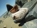 Beach rock stacking sculpture Royalty Free Stock Photo