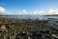 Beach of rocks Royalty Free Stock Photo