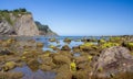 Beach with rocks and algae at low tide with sunny day Royalty Free Stock Photo