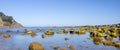 Beach with rocks and algae at low tide with sunny day Royalty Free Stock Photo