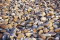 Beach Rocks Background