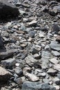 Beach Rocks close-up summer time