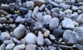 Beach Rocks and Feather Royalty Free Stock Photo