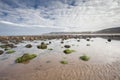 Beach with rocks in the sand at Cayton Bay, UK Royalty Free Stock Photo