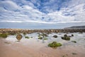 Beach with rocks in the sand at Cayton Bay, UK Royalty Free Stock Photo