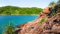 Beach rocks sea palms island Royalty Free Stock Photo