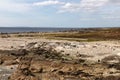 Beach with rocks and vegetation in Galway Bay Royalty Free Stock Photo