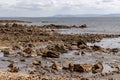 Beach with rocks and vegetation in Galway Bay Royalty Free Stock Photo