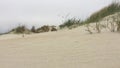 Beach on Romo island - Denmark.