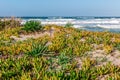 Beach with rough sea in a sunny day Royalty Free Stock Photo