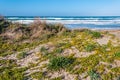 Beach with rough sea in a sunny day Royalty Free Stock Photo