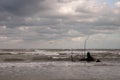 Beach and rough sea with waves and a tree carried by the current on a cloudy day Royalty Free Stock Photo