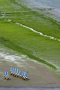 Beach sailing with land yachts in Saint Michel-en-GrÃÂ¨ve (Bretagne) Royalty Free Stock Photo