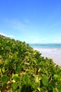 Beach on Saint Lucia Royalty Free Stock Photo