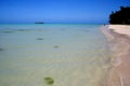 Beach In Saipan Royalty Free Stock Photo