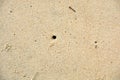 Beach sand background Royalty Free Stock Photo