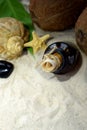 Beach sand, bottle with letter inside, seashells and starfish. Royalty Free Stock Photo