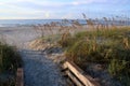 Beach sand dunes access path Royalty Free Stock Photo