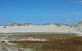 Beach sand dunes coast with fine sand