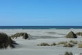 Beach sand dunes coast with fine sand