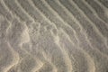 Beach sand dunes coast with fine sand