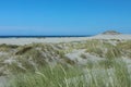 Beach sand dunes coast with fine sand