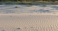 Beach sand dunes in late afternoon light