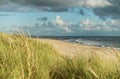 Beach with sand dunes and marram grass, blue sky and clouds in soft evening sunset light. Hvidbjerg Strand, Blavand Royalty Free Stock Photo