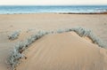 Beach with sand dunes and Marram grass in soft evening sunset light Royalty Free Stock Photo