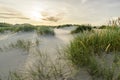 Beach with sand dunes and marram grass with soft sunrise sunset back light. Skagen Nordstrand, Denmark. Skagerrak Royalty Free Stock Photo