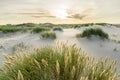 Beach with sand dunes and marram grass with soft sunrise sunset back light. Skagen Nordstrand, Denmark. Skagerrak Royalty Free Stock Photo