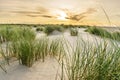 Beach with sand dunes and marram grass with soft sunrise sunset back light. Skagen Nordstrand, Denmark. Skagerrak Royalty Free Stock Photo