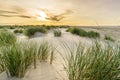 Beach with sand dunes and marram grass with soft sunrise sunset back light. Skagen Nordstrand, Denmark. Skagerrak Royalty Free Stock Photo