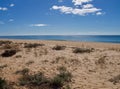 Beach with sand, dunes, plants and blue ocean