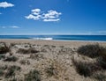 Beach with sand, dunes, plants and blue ocean