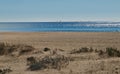 Beach with sand, dunes, plants and blue ocean