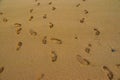 Beach sand footprint ocean coast sea azure wave with bubble. Human steps on shore Royalty Free Stock Photo