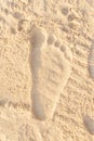 Beach sand footprint ocean coast sea. Close-up Royalty Free Stock Photo