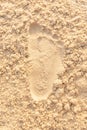 Beach sand footprint ocean coast sea. Close-up Royalty Free Stock Photo