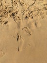 Beach sand and footprints of mother and child Royalty Free Stock Photo