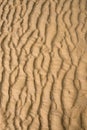 Beach sand full frame texture background natural shape horizontal Royalty Free Stock Photo