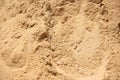 Beach sand grain