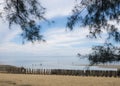 Beach Sand Landscape Royalty Free Stock Photo