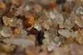 Beach sand micro Royalty Free Stock Photo