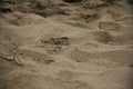 Beach Sand Morning Overcast Broken