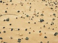 Beach sand with pebbles and shells. Sea pebble stones Royalty Free Stock Photo