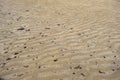 Beach sand ripples wavy patterns Royalty Free Stock Photo