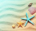 Beach sand with shells and starfish Royalty Free Stock Photo