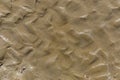 Beach sand with shells and traces care waves Royalty Free Stock Photo