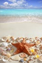 Beach sand starfish caribbean tropical sea Royalty Free Stock Photo